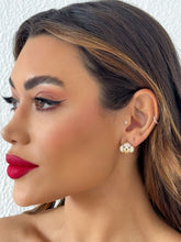 Carregar imagem no visualizador da galeria, https://febijus.bwimg.com.br/febijus/produtos/brinco-folheado-a-ouro-18k-e-prata-ted-cravejado-1755006837.1031.jpg