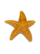 Carregar imagem no visualizador da galeria, https://febijus.bwimg.com.br/febijus/produtos/presilha-acrilico-formato-estrela-do-mar-1764872753.406.jpg