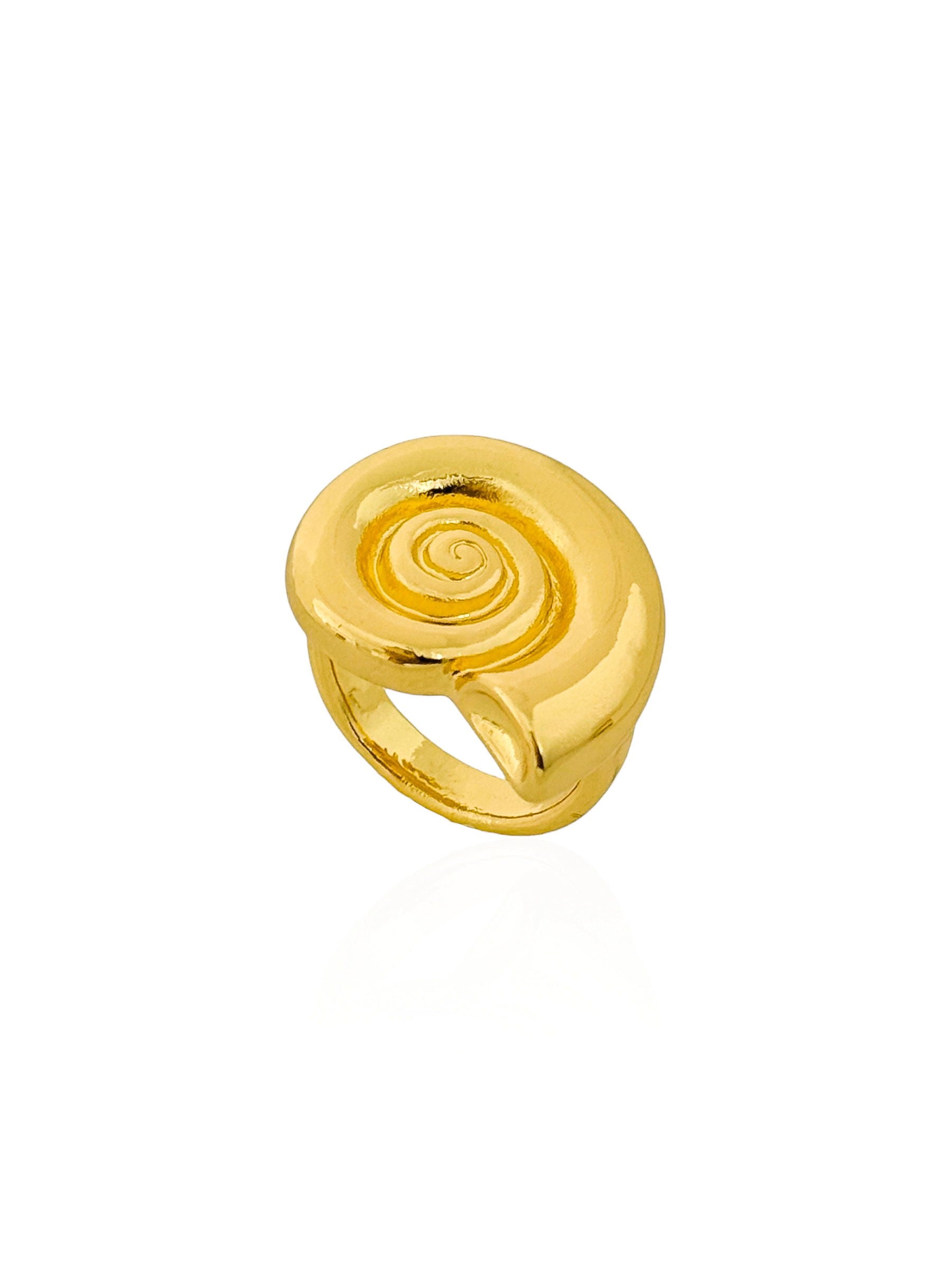 https://febijus.bwimg.com.br/febijus/produtos/anel-folheado-a-ouro-18k-e-prata-design-espiral-1764790779.8022.jpg