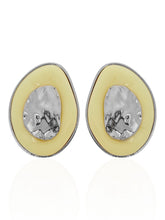 Carregar imagem no visualizador da galeria, https://febijus.bwimg.com.br/febijus/produtos/brinco-folheado-a-ouro-18k-e-prata-resinado-e-martelado-1767804537.1295.jpg
