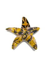 Carregar imagem no visualizador da galeria, https://febijus.bwimg.com.br/febijus/produtos/presilha-acrilico-formato-estrela-do-mar-1764872753.1024.jpg
